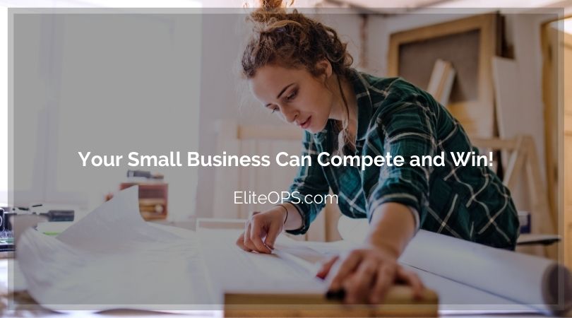 Your Small Business Can Compete and Win!