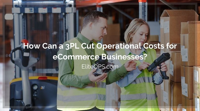 How Can a 3PL Cut Operational Costs for eCommerce Businesses?